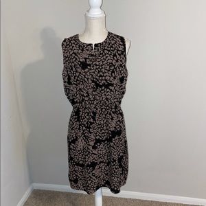 LOFT Sleeveless Dress